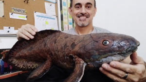 Por qué sorprenden una tortuga y un pez pulmonado hallados en Neuquén