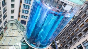 Un acuario gigante estalló en un prestigioso hotel de Berlín