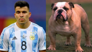 El divertido hilo de Twitter que compara jugadores de la Selección con perros