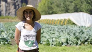 Chacra Rizoma, una “red” rural que abastece a más de 500 familias