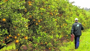 Otro año difícil para los trabajadores