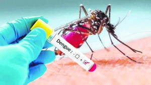 Cambios ambientales y dengue