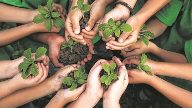 Los problemas de la educación ambiental