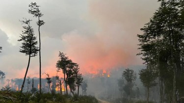 Mientras los brigadistas siguen trabajando para controlar los incendios, la Justicia de Tierra del Fuego investiga audios que delatan a los posibles autores. Foto Archivo.