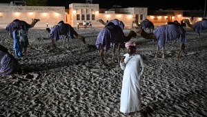 Cuáles son los síntomas del ‘Virus del Camello’ que afecta a jugadores de Francia en el Mundial de Qatar 2022