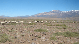 Por La Niña, 2022 fue el octavo año más seco de la historia en Argentina: qué se espera en 2023