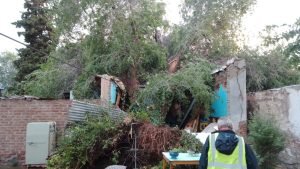 Un árbol cayó sobre un dormitorio donde había niños, durante la tormenta en Neuquén