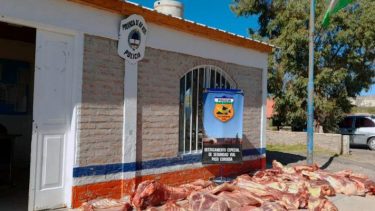 Los decomisos fueron ejecutados por Seguridad Vial, Brigada Rural y Patrulla Montada. Foto: Gentileza