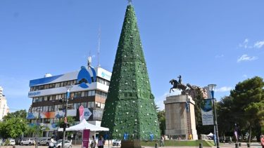 El árbol se encuentra ubicado frente al monumento a San Martín. Foto: Florencia Salto