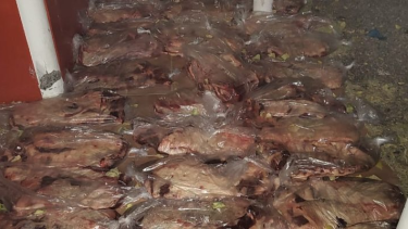  El conductor de 72 años dijo que se dirigía a Roca. Foto gentileza