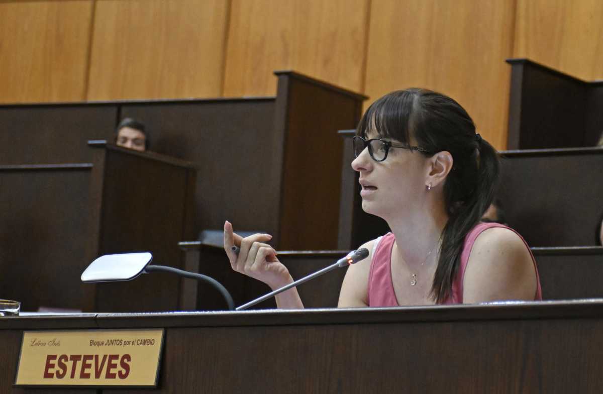 Leticia Esteves es diputada provincial del PRO y acompañará la candidatura de Figueroa. Foto: archivo Florencia Salto.