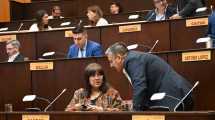 Imagen de Qué es el Partido Vecinal Renovador, el sello que llevará de candidata a la mamá del «Huevo» Acuña