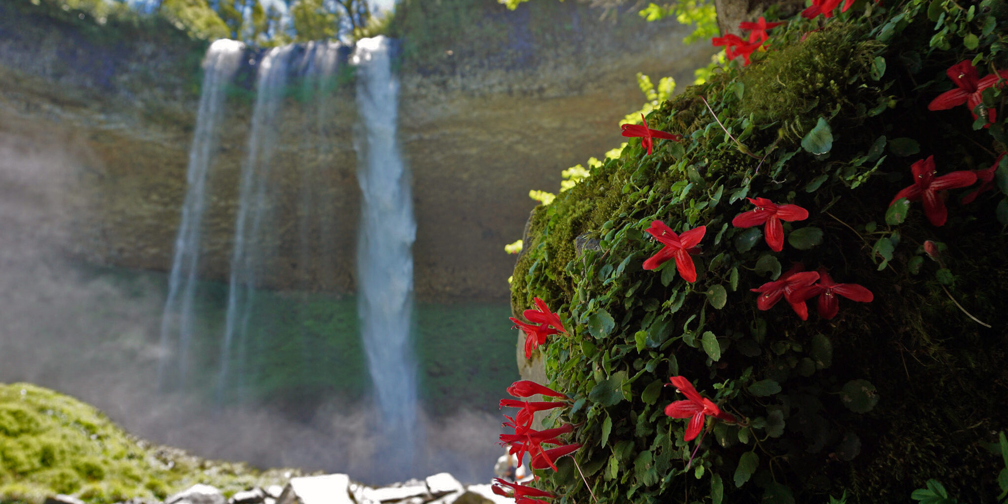 Las cascadas del paso Samoré son un atractivo para caminar y descubrir en verano. Foto: gentileza Club Andino Bariloche