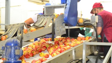 La mujer sufrió una lesión en el hombro por cargar jaulones con frutas. (Foto Néstor Salas)
