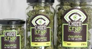 La Anmat Prohíbe la venta de una marca de chocolates en forma de cogollos de marihuana