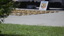 Imagen de Encontraron 55 kilos de marihuana en una camioneta que viajaba por la Ruta 22 en Roca