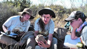 No son mascotas: invitan a un voluntariado para conservar a las tortugas terrestres de la Patagonia