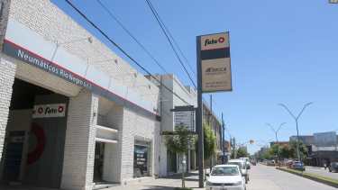 Los delincuentes se llevaron neumáticos y herramientas del local ubicado en avenida Roca. (foto: Juan Thomes)
