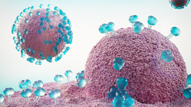 Hay una ola de casos de COVID-19 en toda la Argentina, que también afecta a Río Negro y Neuquén