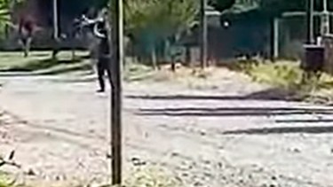 Vecinos de Junín de los Andes reclamarán Justicia por Insi. Foto: Captura video