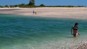 La playa de agua cristalina y caracoles blancos:  parece el Caribe, pero es Patagonia