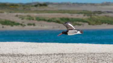 Punta Perdices y su magia 