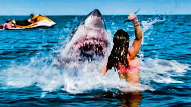 "Mar de sangre": En medio del mar, sin nadie a su alrededor, un grupo de amigos lucharán por encontrar el camino de regreso a casa, llevando a un amigo gravemente herido, mientras hambrientos tiburones los acechan peligrosamente.