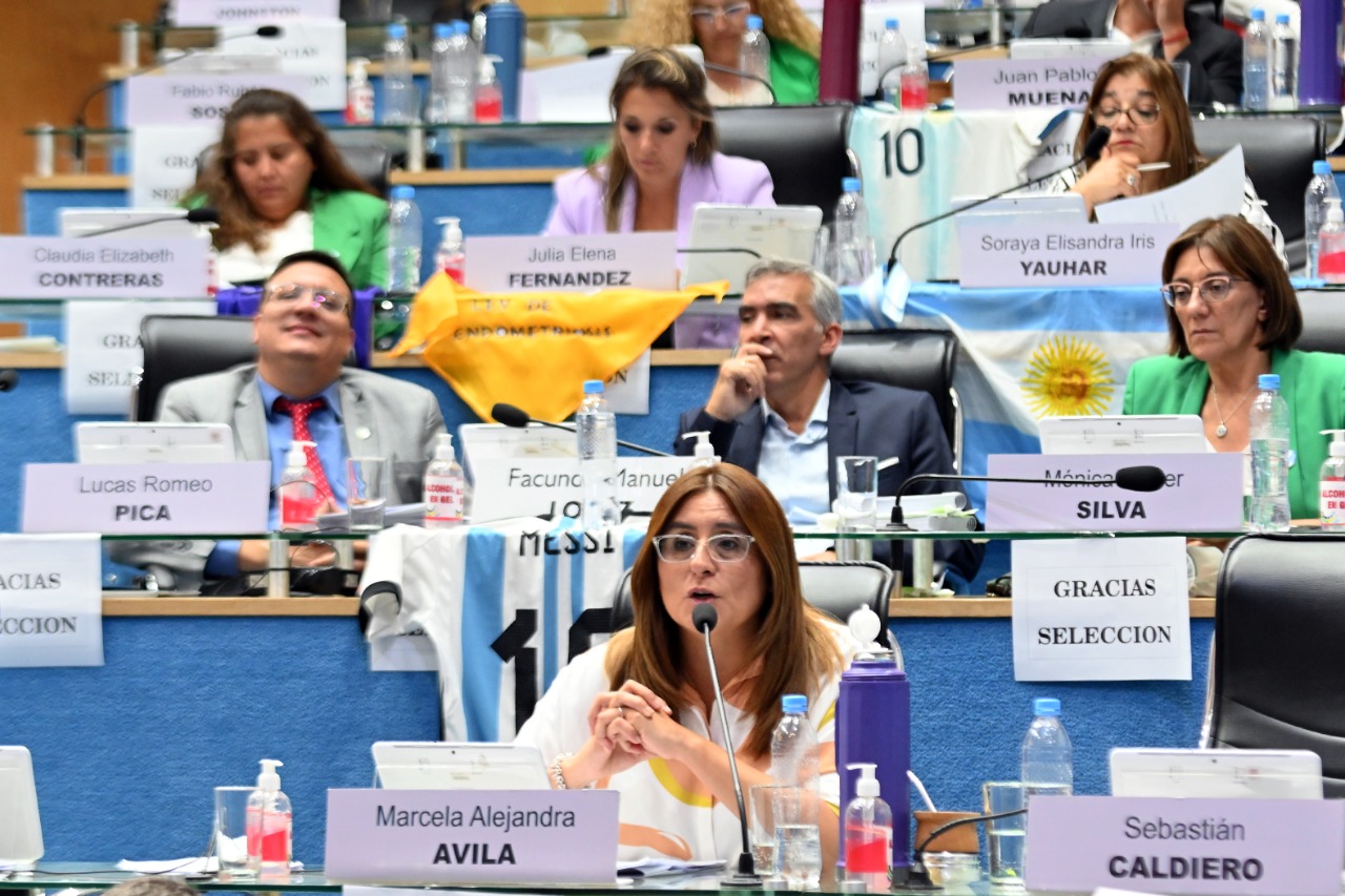 Marcela Avila argumentó el proyecto del presupuesto, presentado por el Ejecutivo. Foto: Marcelo Ochoa.