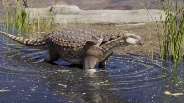 Patagopelta: nuevos restos revelan información inédita del dinosaurio acorazado de Río Negro