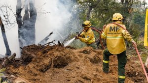 Incendios forestales en Tierra del Fuego: la lluvia ayudó, pero el fuego sigue azotando a Tolhuin