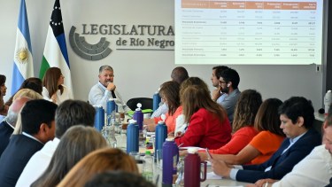 Se realizó el primer debate en el Plenario de Comisiones, donde el ministro de Economía Vaisberg brindó detalles. Foto: Marcelo Ochoa