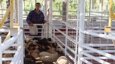 Cordecc ofrecerá sus chivitos en Neuquén capital, este sábado. (Neuquén Informa).-