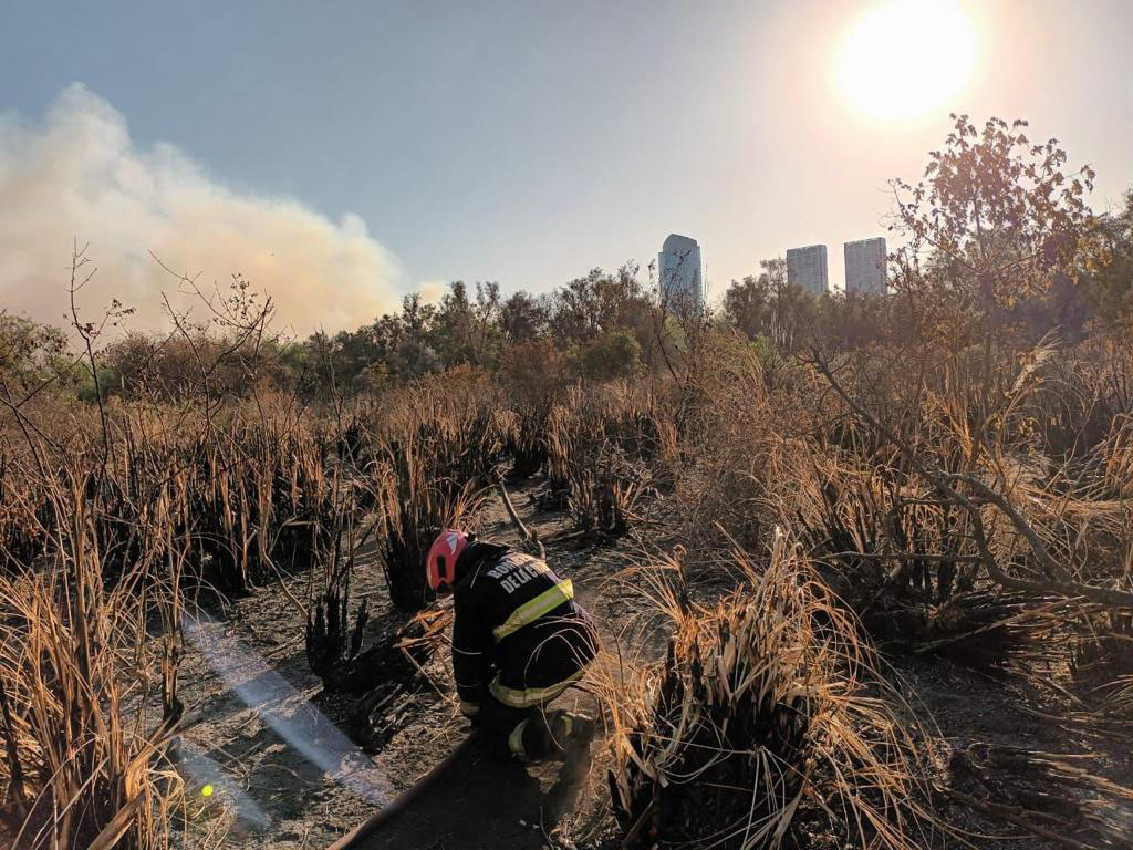 Bomberos de la Ciudad de Buenos Aires trabajaron esta mañana para extinguir el incendio en la Reserva Ecológica Costanera Sur que se desató ayer por la tarde. Foto Télam.