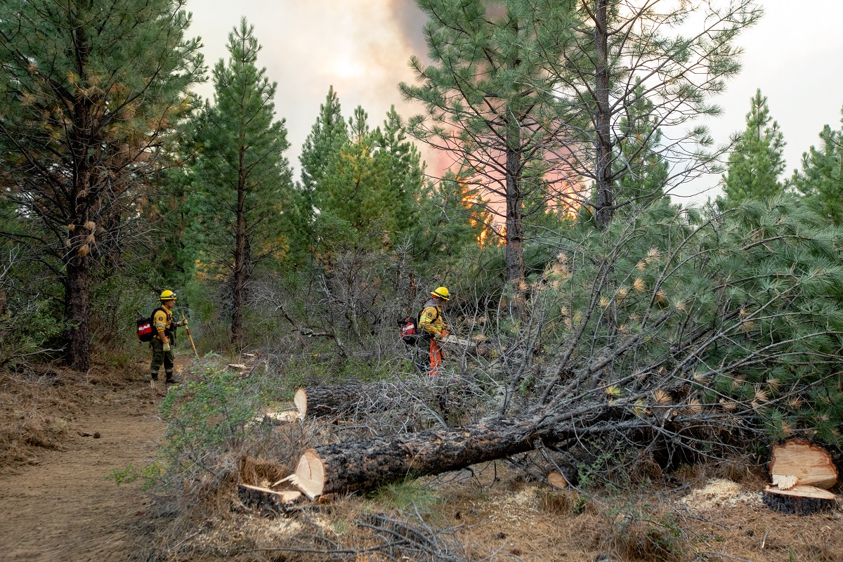 El último incendio afectó 1.300 hectáreas en Cuesta del Ternero. Foto: gentileza
