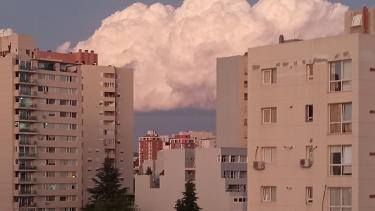 Ley de Alquileres y dólar: qué dice la ley y qué plantean los inquilinos y los propietarios