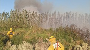 De dónde viene el humo que se ve en Neuquén  