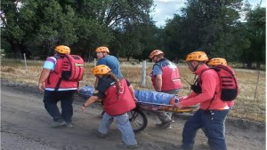 Una turista se cayó y perdió el conocimiento: fue rescatada en el Bosque de Arrayanes