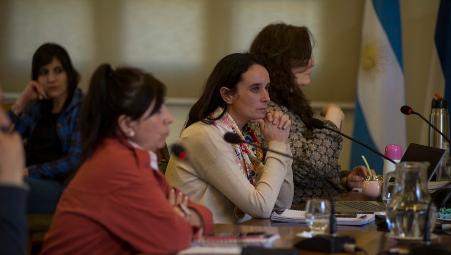 La concejal Julieta Wallace (centro) esgrimió objeciones formales a la convocatoria al referéndum de Bariloche y pidió la revocatoria. Archivo