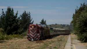 Un vagón del Tren Patagónico descarriló cerca de Bariloche