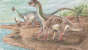 Qué preservó las patinadas de dinosaurios en Neuquén