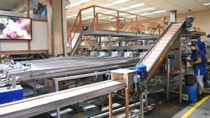 Acordaron las paritarias entre CAFI y el gremio luego de las medidas de fuerza