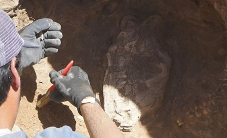 Los arqueólogos trabajan en el lugar del notable hallazgo.