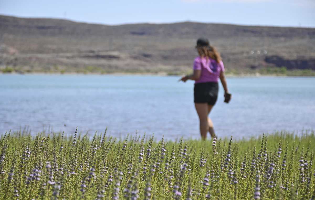 Verano en El Chocón: así de lindo es el camping oculto detrás de la ...