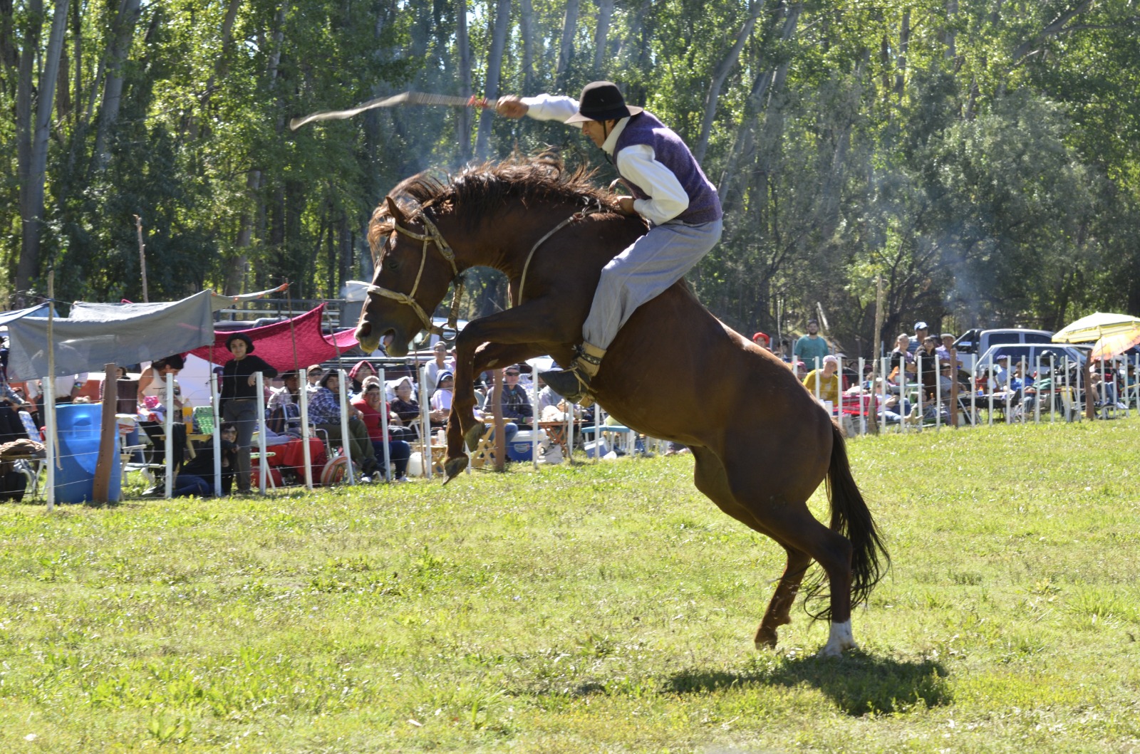 Suspenden la Fiesta provincial del Gaucho en Chichinales  (Foto: archivo  Néstor Salas)