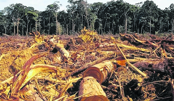 Los científicos afirman que una vez que se destruya entre el 20% y 25% de la selva, las lluvias se reducirían drásticamente en la Amazonía