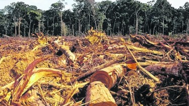 Los científicos afirman que una vez que se destruya entre el 20% y 25% de la selva, las lluvias se reducirían drásticamente en la Amazonía