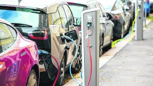 Introduciendo el trabajo ambiental en Argentina