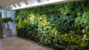 Plantemos jardines en aulas, casas y oficinas para respirar aire&nbsp;limpio