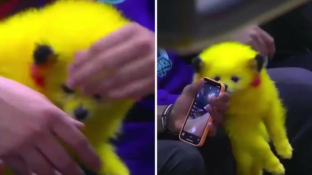 Tiñó a su mascota de amarillo para que se parezca a Pikachu. 