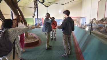 El Argentinosaurus Huinculensis será el eje del documental de Patagonia (Fotos: gentileza)